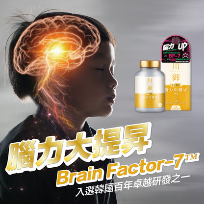 TY Science 川御 腦力の御守